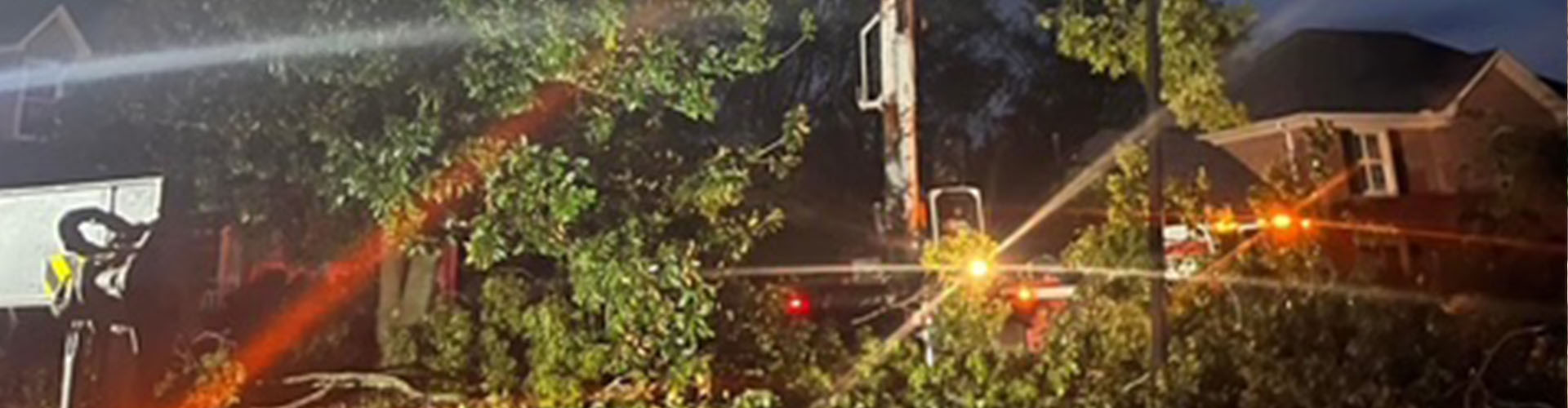 Finest Tree Removal Service Company in the Upstate SC